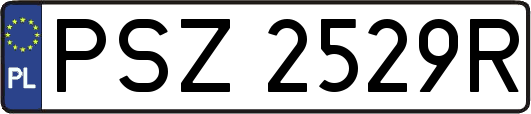PSZ2529R