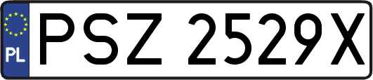 PSZ2529X