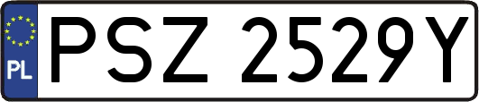 PSZ2529Y
