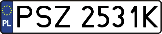 PSZ2531K