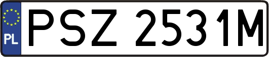 PSZ2531M