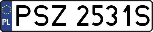 PSZ2531S