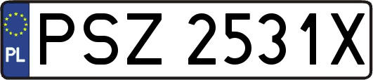 PSZ2531X
