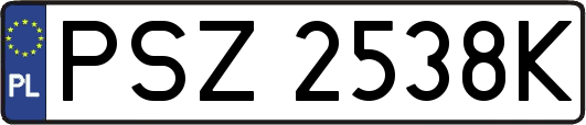 PSZ2538K