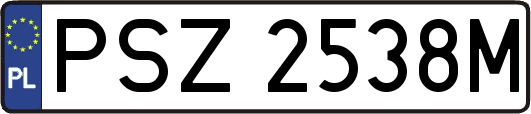 PSZ2538M