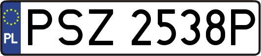 PSZ2538P