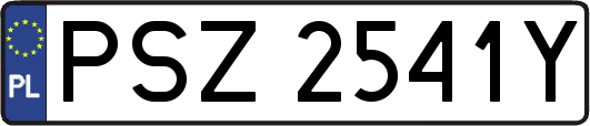 PSZ2541Y