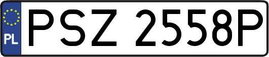PSZ2558P