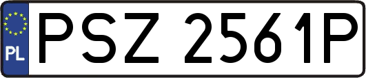 PSZ2561P