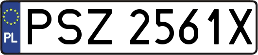 PSZ2561X