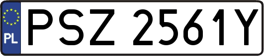 PSZ2561Y