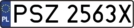 PSZ2563X
