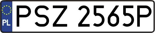 PSZ2565P