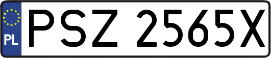 PSZ2565X