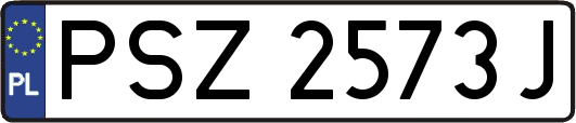 PSZ2573J