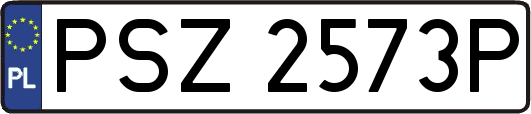 PSZ2573P