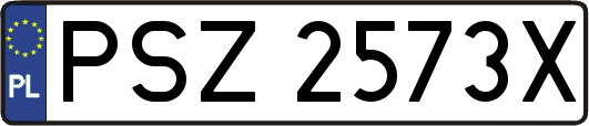 PSZ2573X