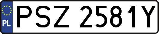 PSZ2581Y