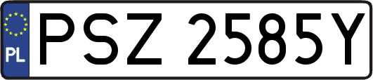 PSZ2585Y