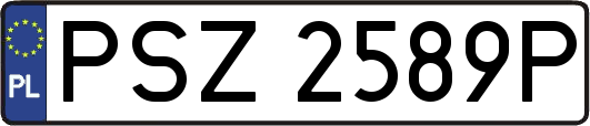 PSZ2589P