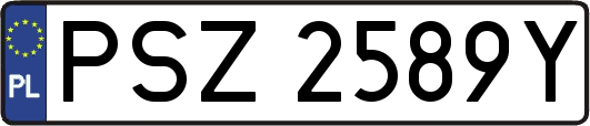 PSZ2589Y