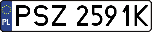 PSZ2591K