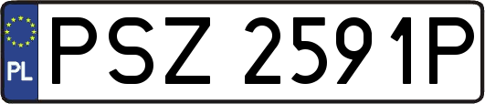PSZ2591P
