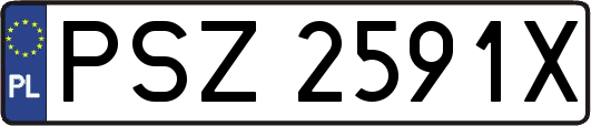 PSZ2591X