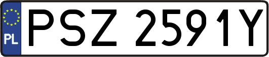 PSZ2591Y
