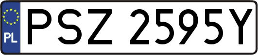 PSZ2595Y