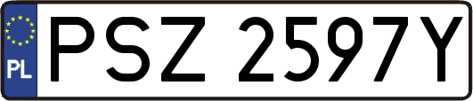 PSZ2597Y