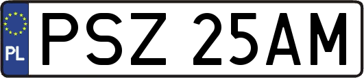 PSZ25AM