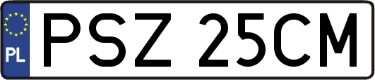 PSZ25CM