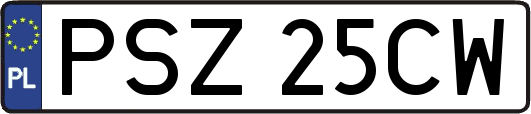 PSZ25CW
