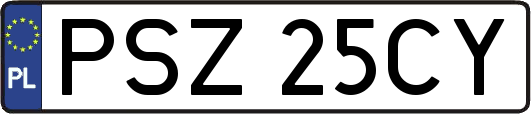 PSZ25CY