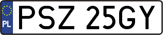 PSZ25GY