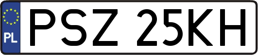 PSZ25KH