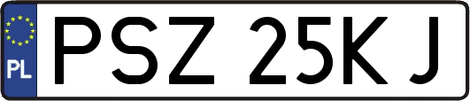 PSZ25KJ