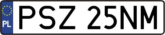 PSZ25NM