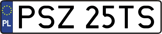 PSZ25TS