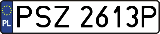 PSZ2613P