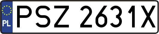 PSZ2631X