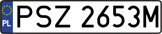 PSZ2653M