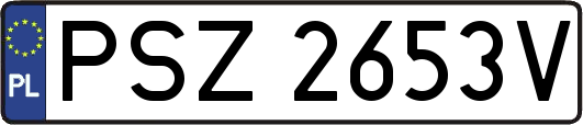 PSZ2653V