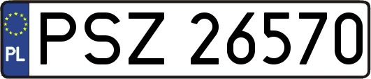 PSZ26570