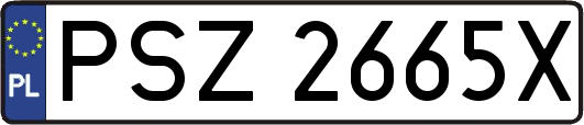 PSZ2665X