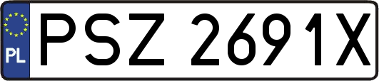 PSZ2691X