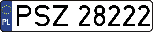 PSZ28222