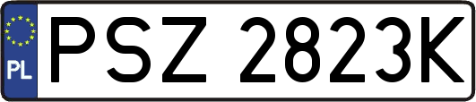 PSZ2823K
