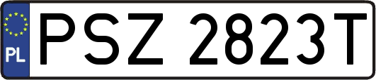 PSZ2823T